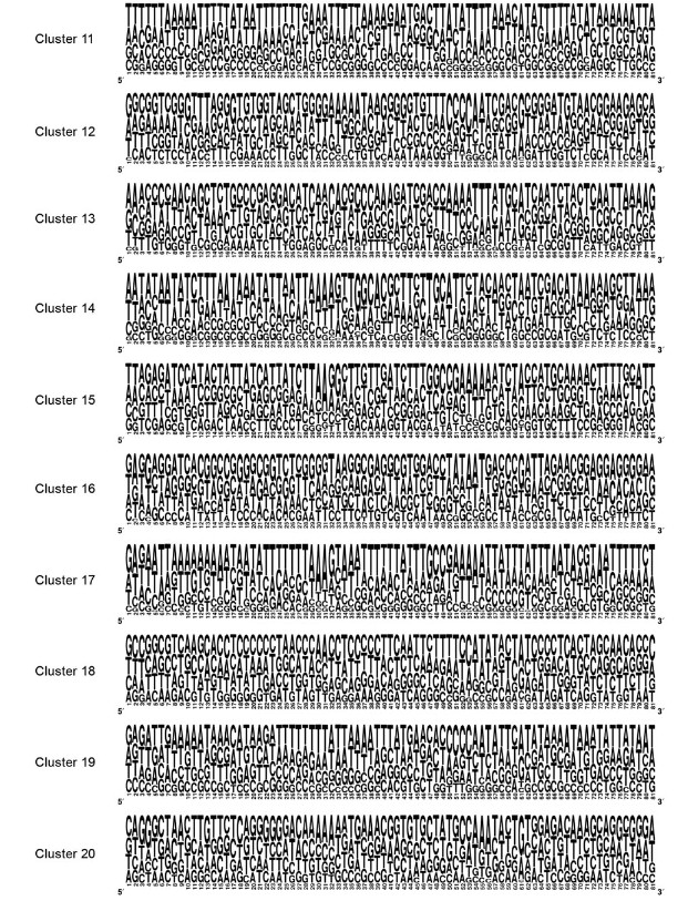 [Original Research Paper] Analysis of the nucleotide content of Escherichia coli promoter sequences related to the alternative sigma factors