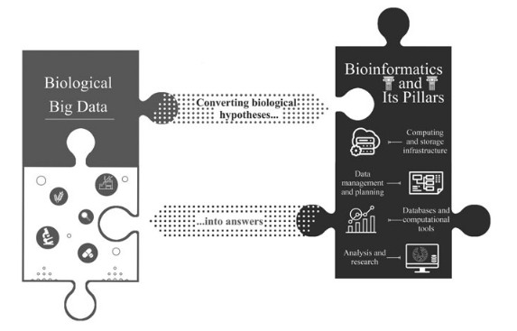 [Review]  A Survey of Biological Data in a Big Data Perspective
