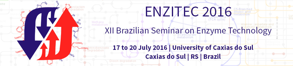 Support Team - ENZITEC 2016