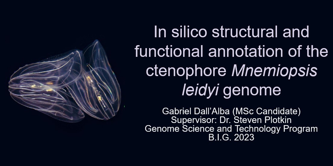 In silico structural and functional annotation of the ctenophore Mnemiopsis leidyi genome